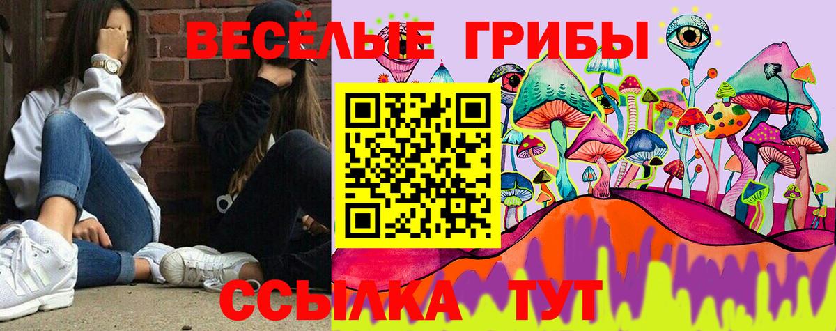 Галлюциногенные грибы GOLDEN TEACHER Амурск